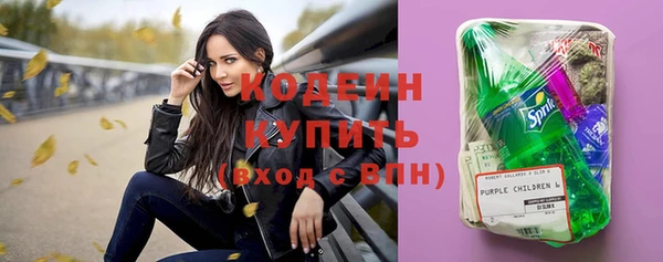 ПСИЛОЦИБИНОВЫЕ ГРИБЫ Богданович