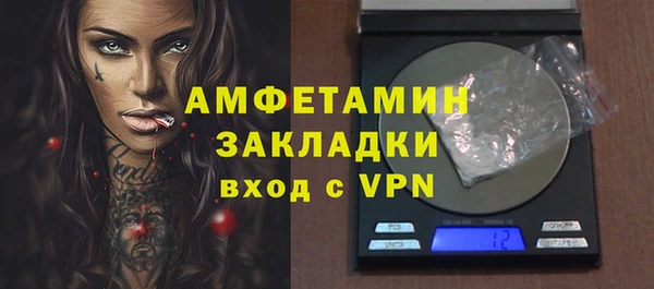 ПСИЛОЦИБИНОВЫЕ ГРИБЫ Богданович