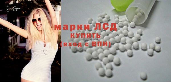 ПСИЛОЦИБИНОВЫЕ ГРИБЫ Богданович