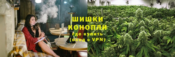 ПСИЛОЦИБИНОВЫЕ ГРИБЫ Богданович